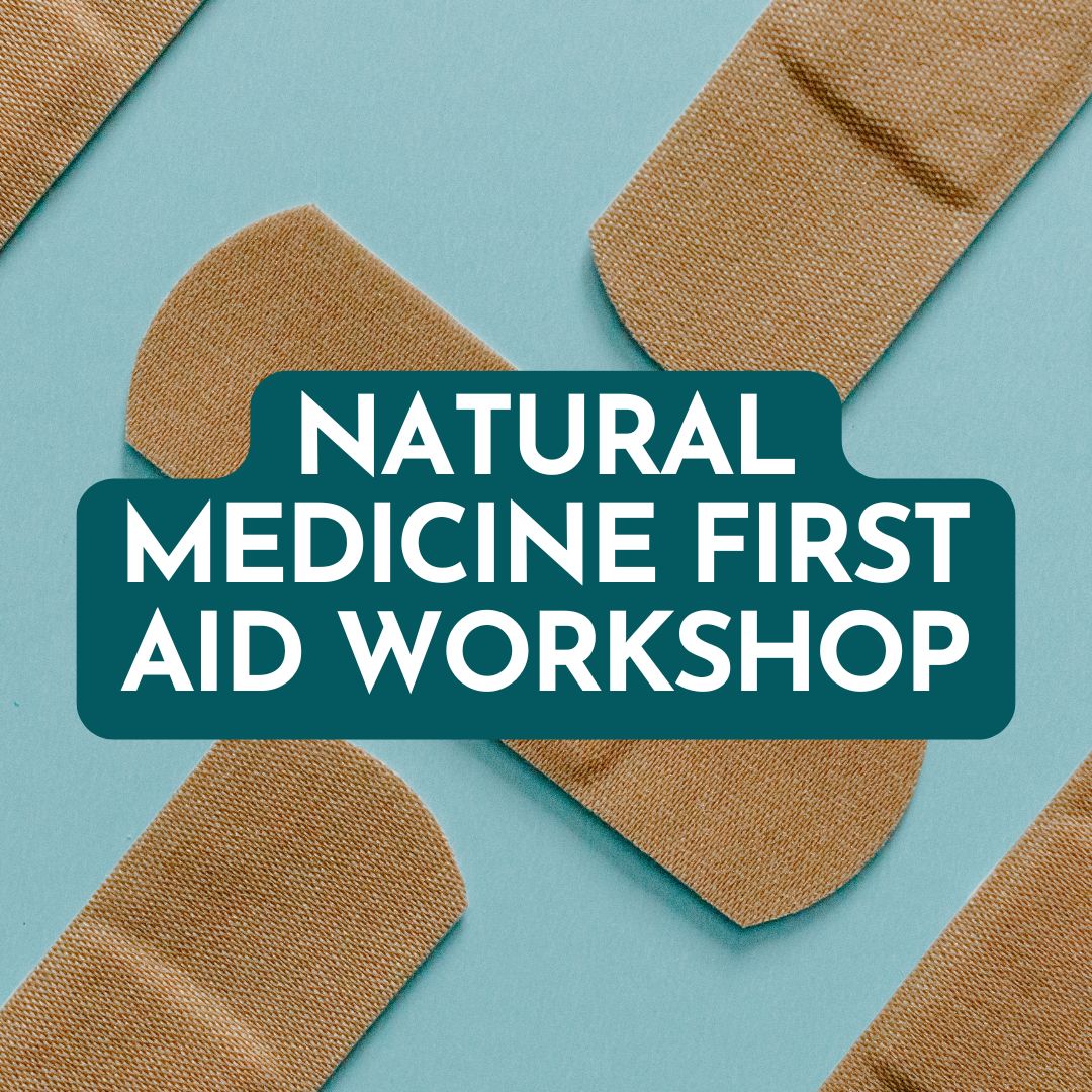 Natural Medicine Workshop Recording
