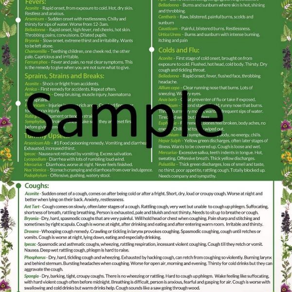 Homeopathic First Aid Cheat Sheet Poster